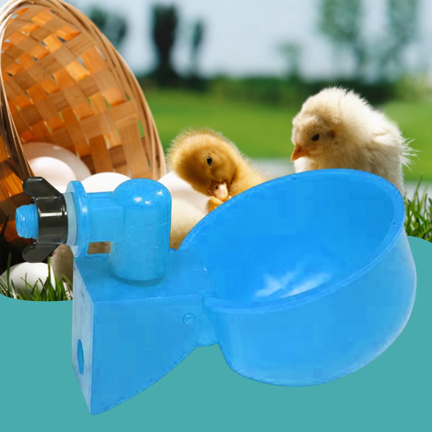 6pcs Poultry Feeder Drinker Hanging Automatic Poultry Drinking Water Bowl Plastic Practical Convenient for Farm Animal Feeding Peaceful Pleasures Health and Wellness
