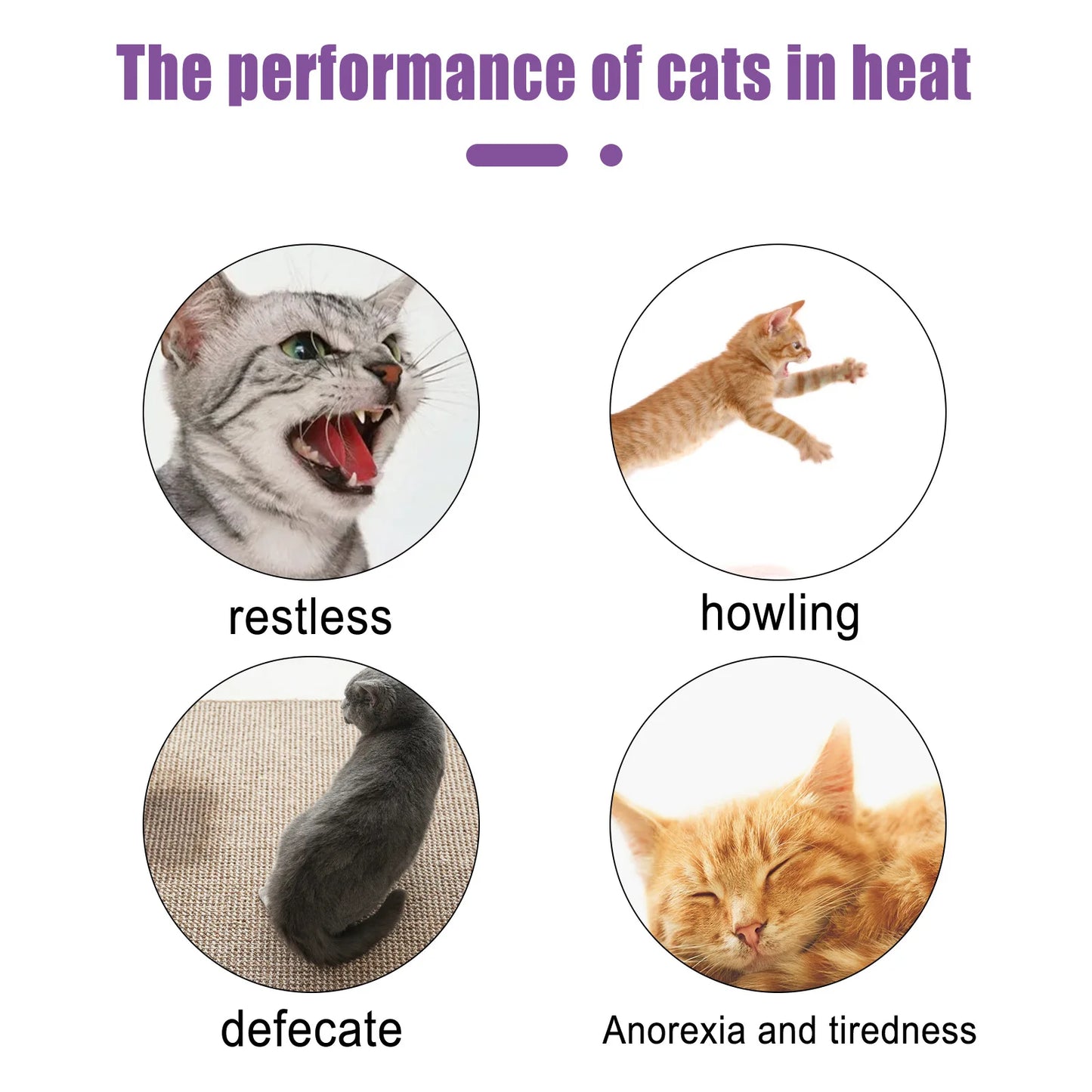Pet Calming Pheromone Spray for Cats & Dogs – Anxiety Relief 50ml