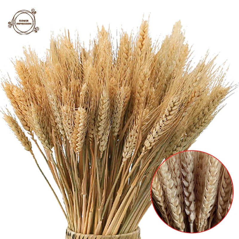 100pcs Dried Wheat Ears Bouquet – Wedding & Home Decor