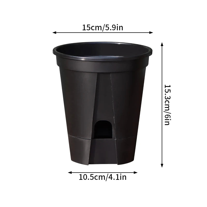 Self-Watering Transparent Orchid Pot | Double Layer Hydroponic