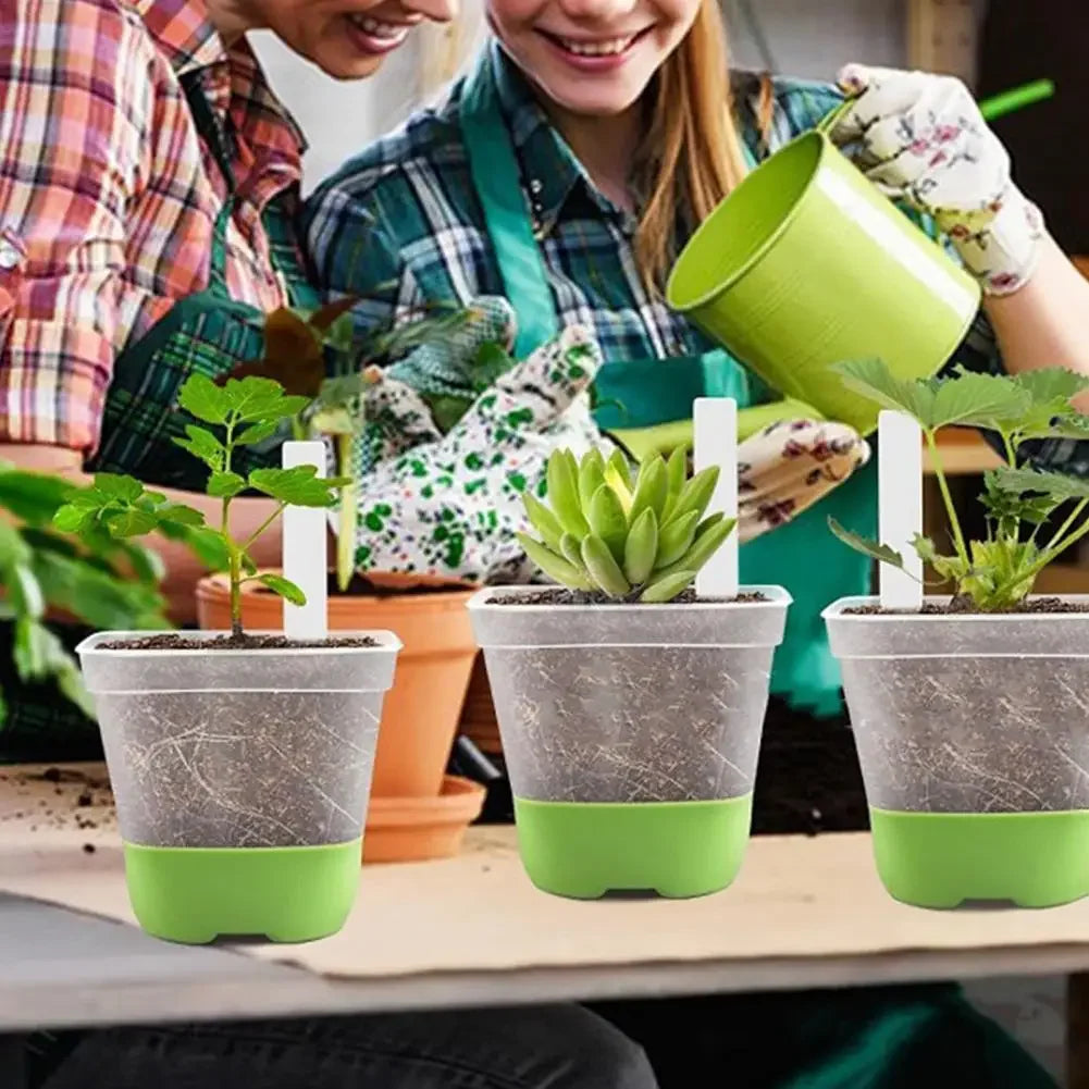 6 plastic square flower pots, transparent planting and seedling pots, reusable, breathable with silicone bottom and label Peaceful Pleasures Health and Wellness