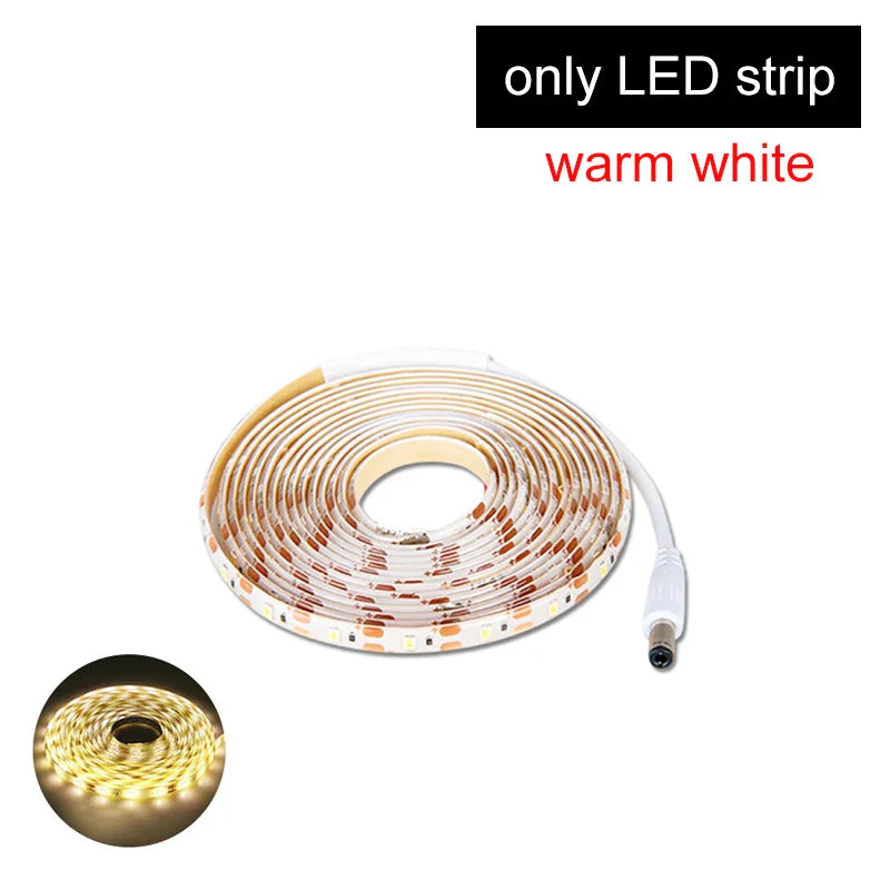 PIR Motion Sensor LED Strip Light DC12V Waterproof 1M–5M