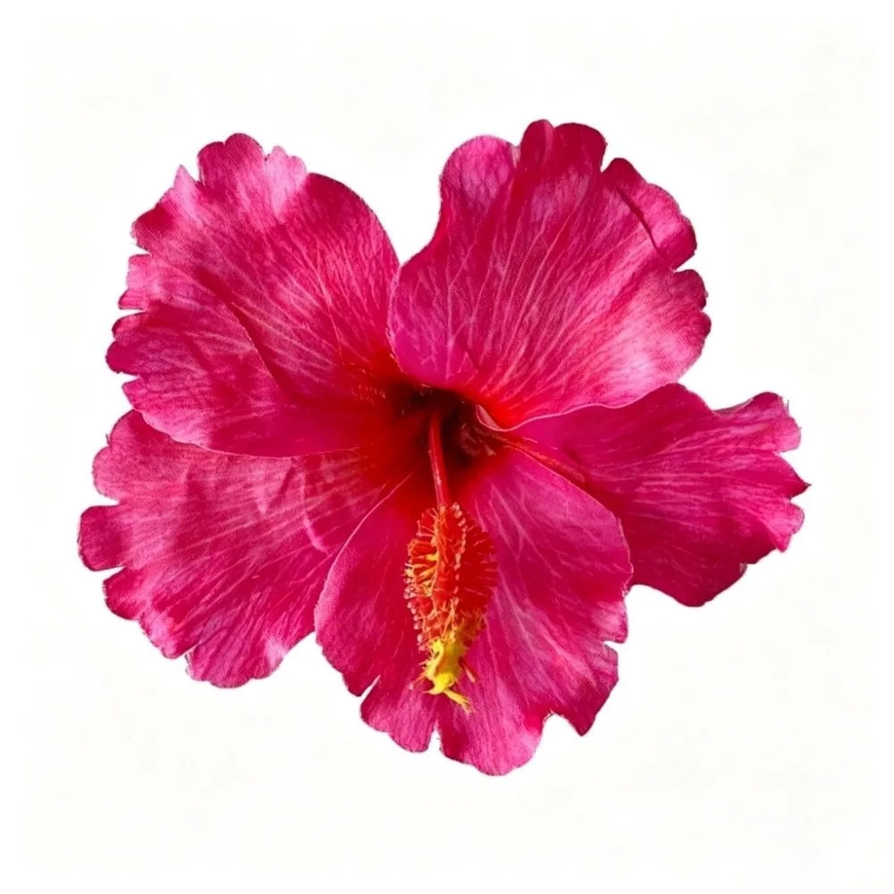 Hibiscus Flower Hair Clip – Bohemian Floral Barrette for Women