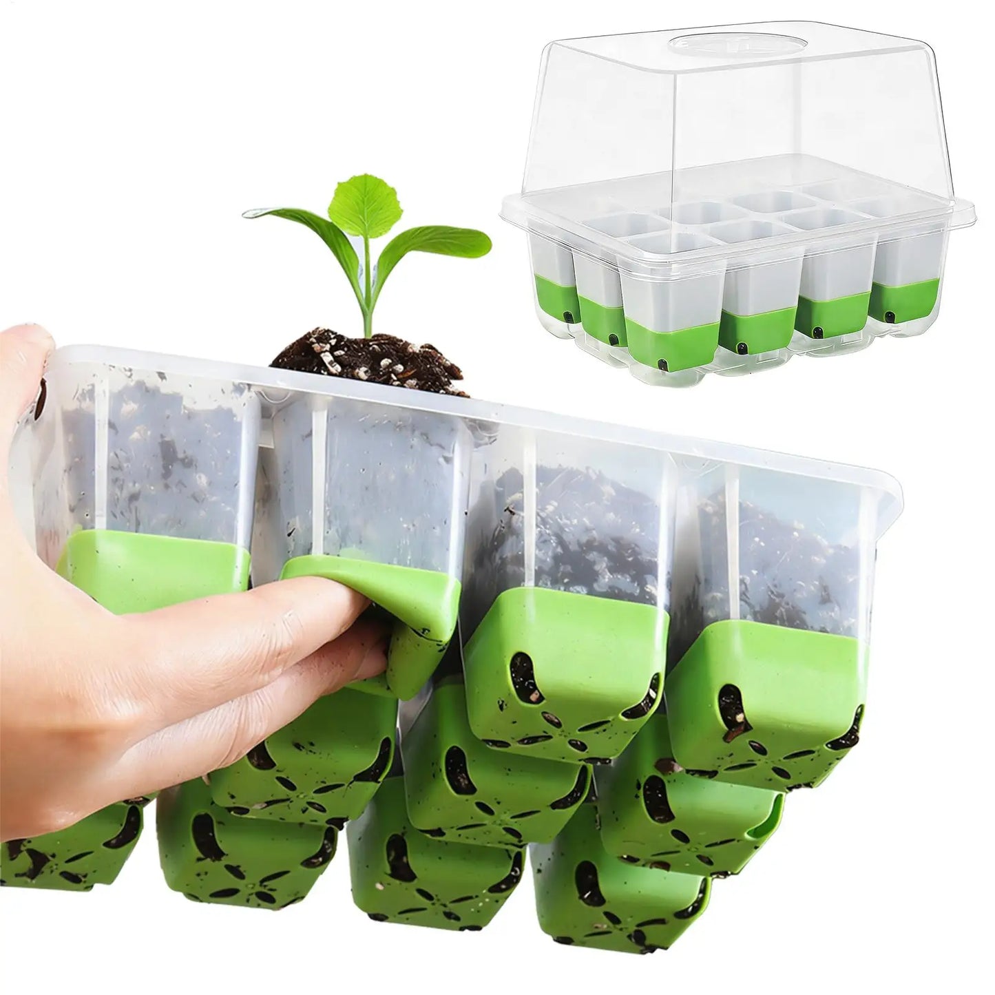 12-Cell Seedling Starter Tray with Humidity Cover | Germination