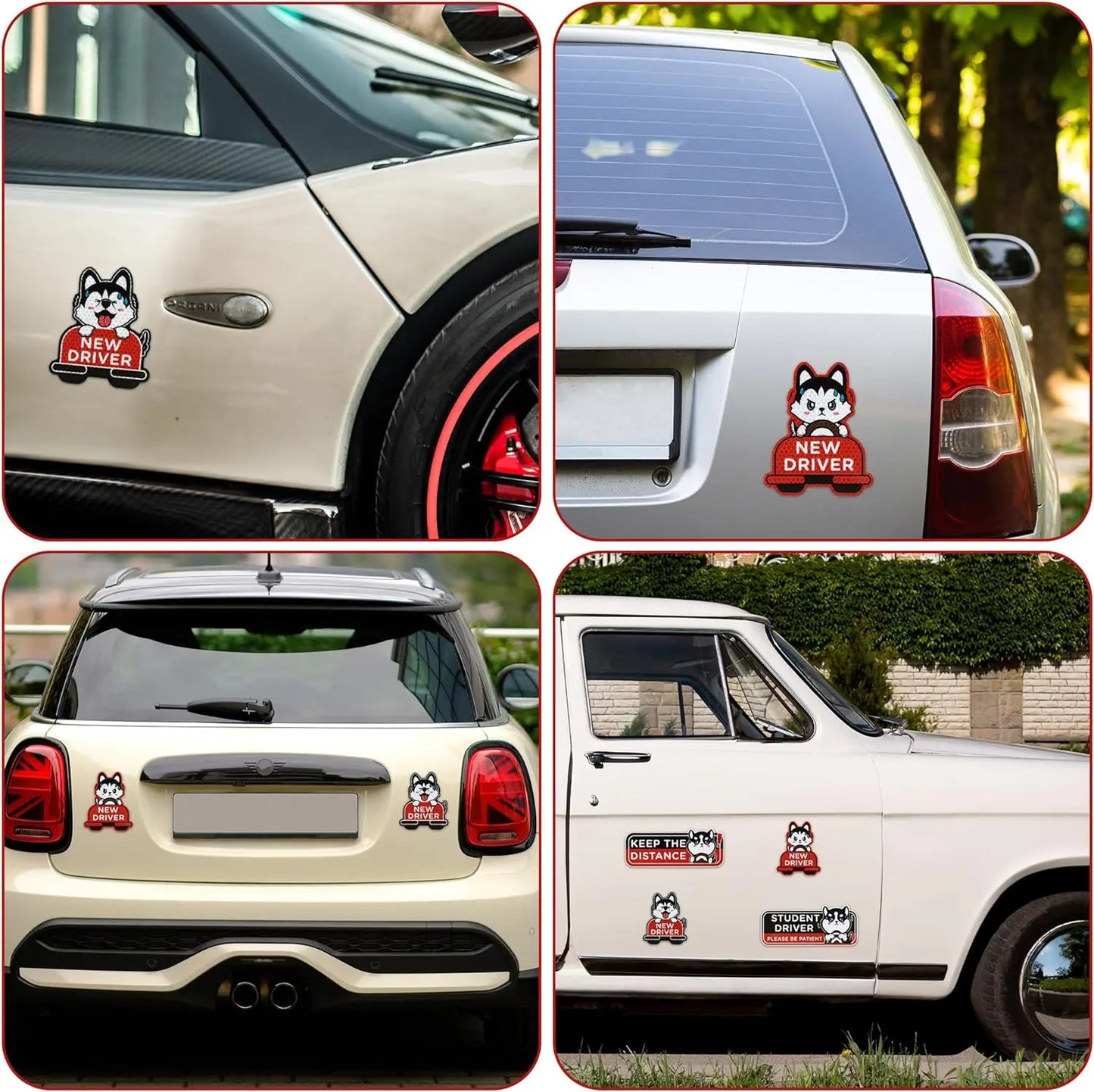 4-Pack Cartoon Cat New Driver Car Magnets | Reflective Safety Signs