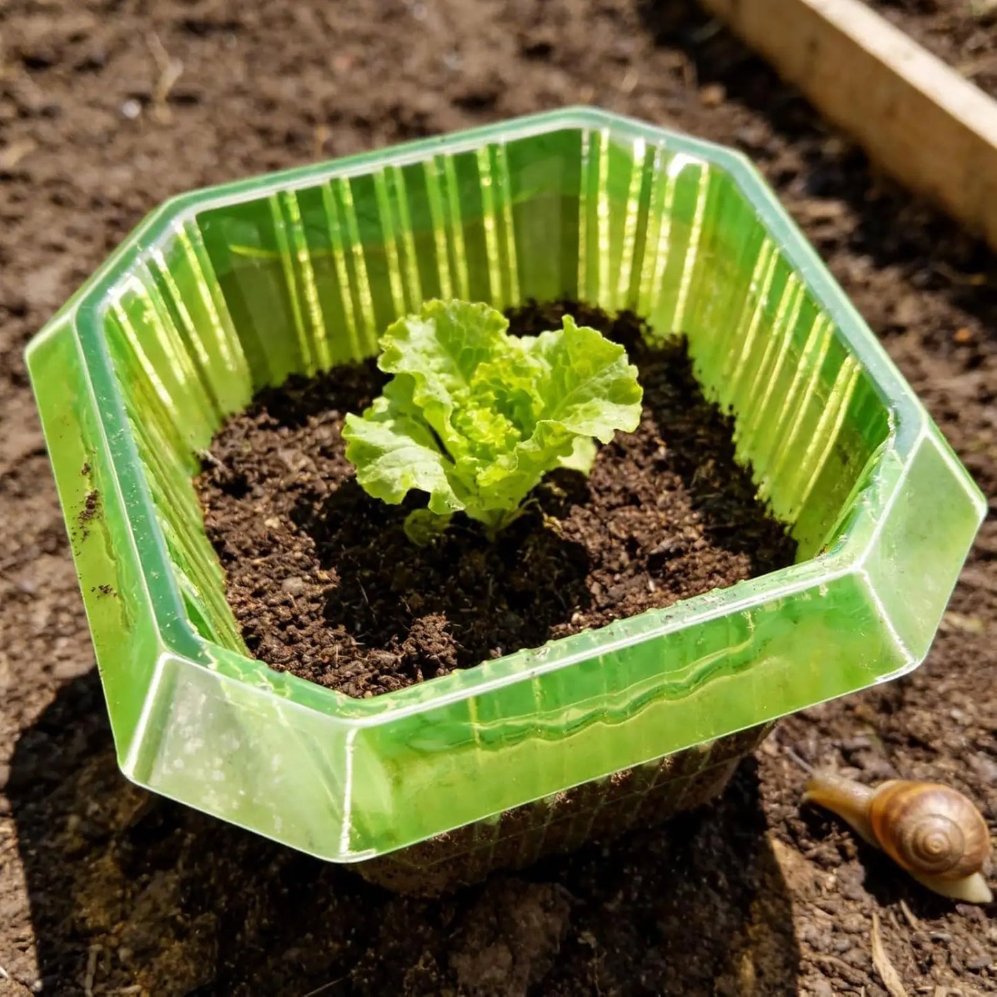 20-Pack Garden Plant Cloches | Frost & Insect Protection