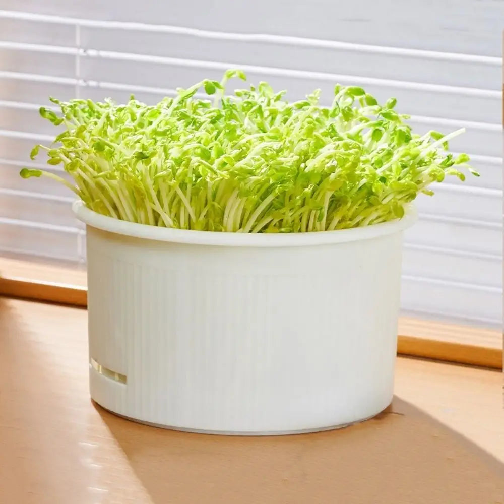 Stackable Bean Sprout Grower Pots – Ventilated Sprouter