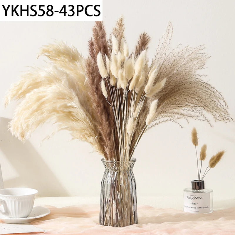 Natural Dried Pampas Grass Bunny Tails Bouquet | Boho Decor