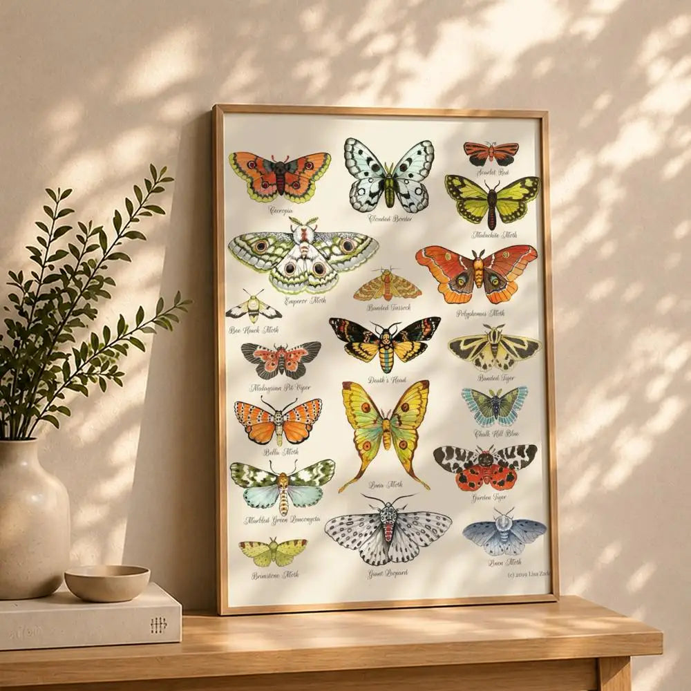 Butterfly HD Self-Adhesive Waterproof Wall Art Poster | Modern Wall Art Poster Peaceful Pleasures Health and Wellness White2 15X20cmNoframe