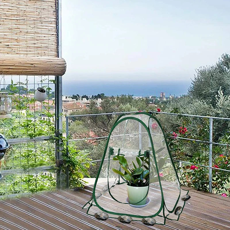 Foldable Pop-Up Mini Greenhouse Tent | Clear PVC Indoor & Outdoor