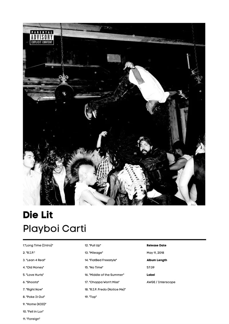 Music Album Cover Canvas Poster | Mac DeMarco, RHCP & More