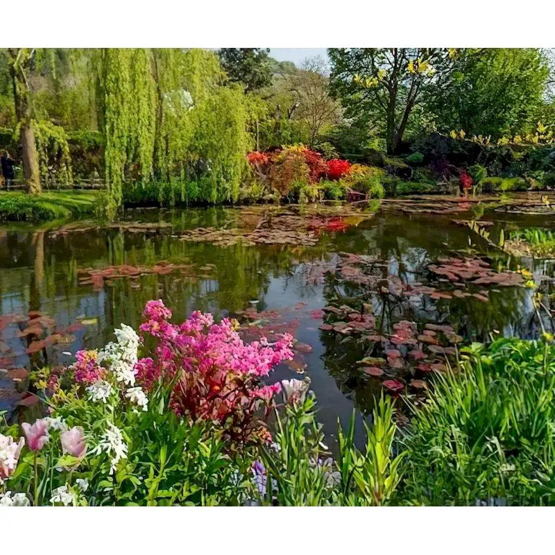 GATYZTORY Paint By Number Landscape Drawing On Canvas HandPainted Art Gift DIY Pictures By Number Lotus Pond Kits Home Decor Peaceful Pleasures Health and Wellness 1 20x30cm Unframed