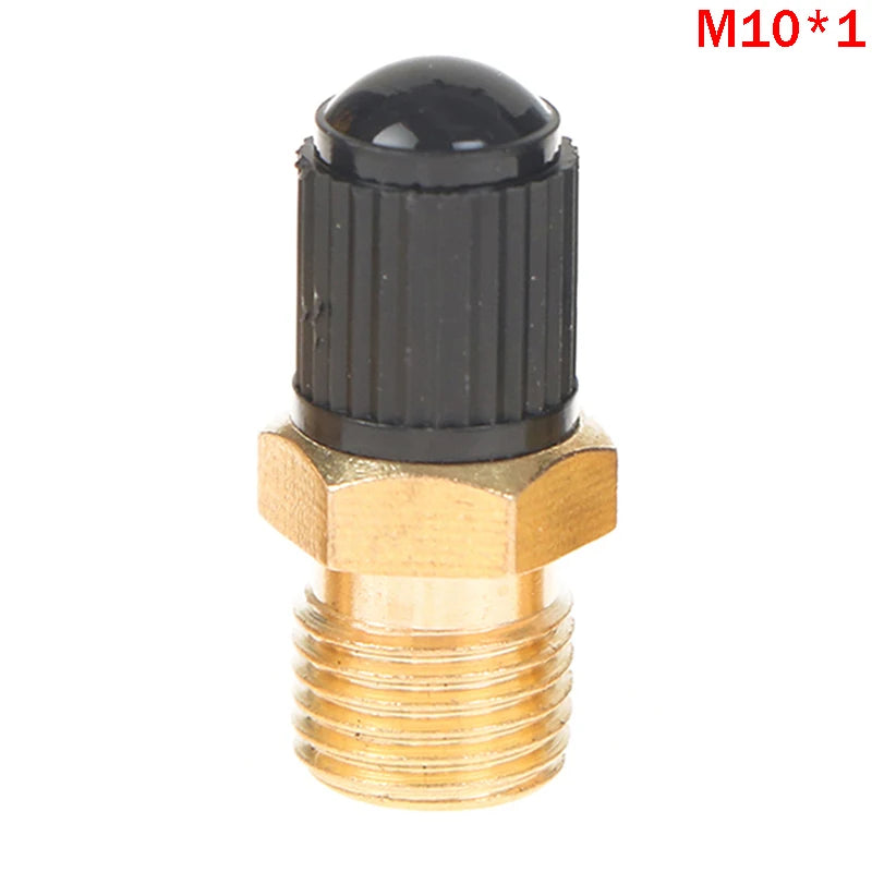 High Quality M10*1、1/8 NPT、1/4 NPT Automobile Tire Valve Tire Valve Tire Pressure Monitoring 1/4 1/8 NPT Valve Peaceful Pleasures Health and Wellness A