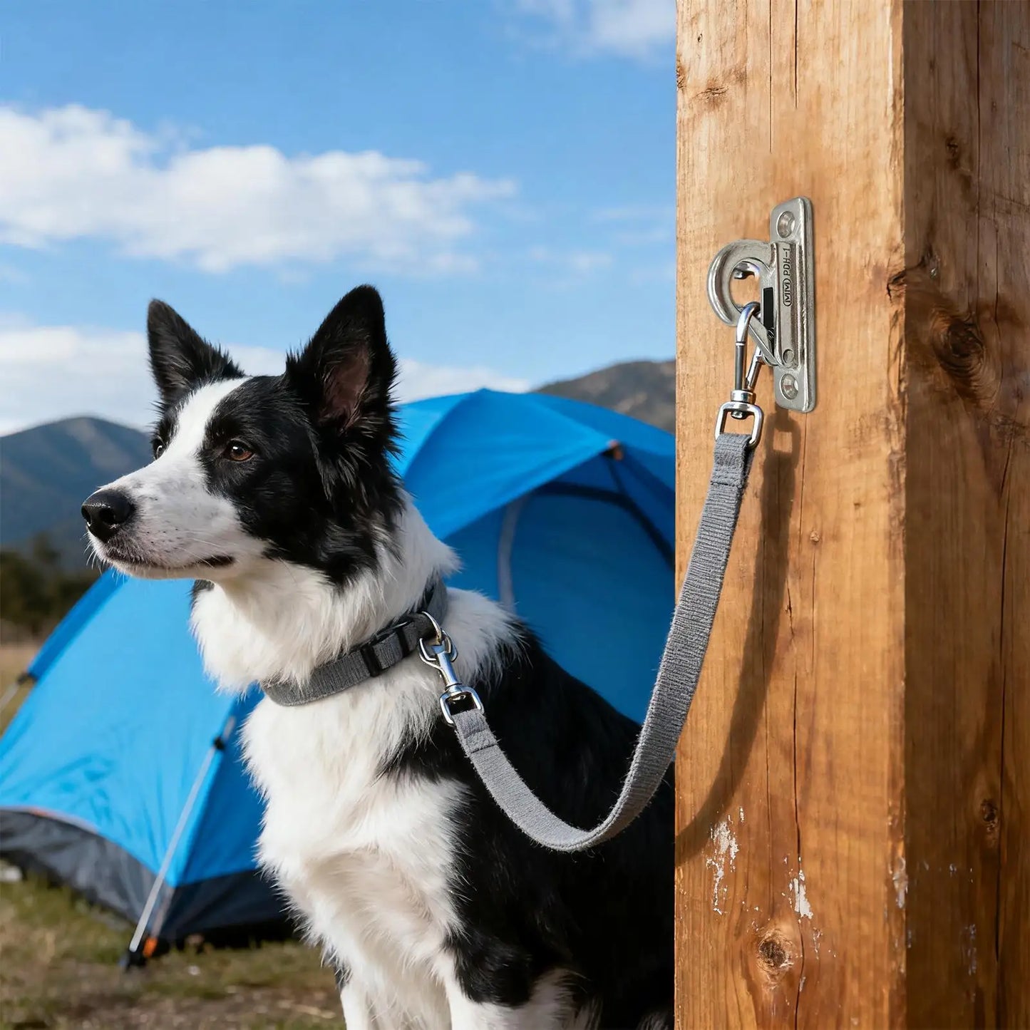 Stainless Steel Dog Leash Wall Hook & Parking Holder