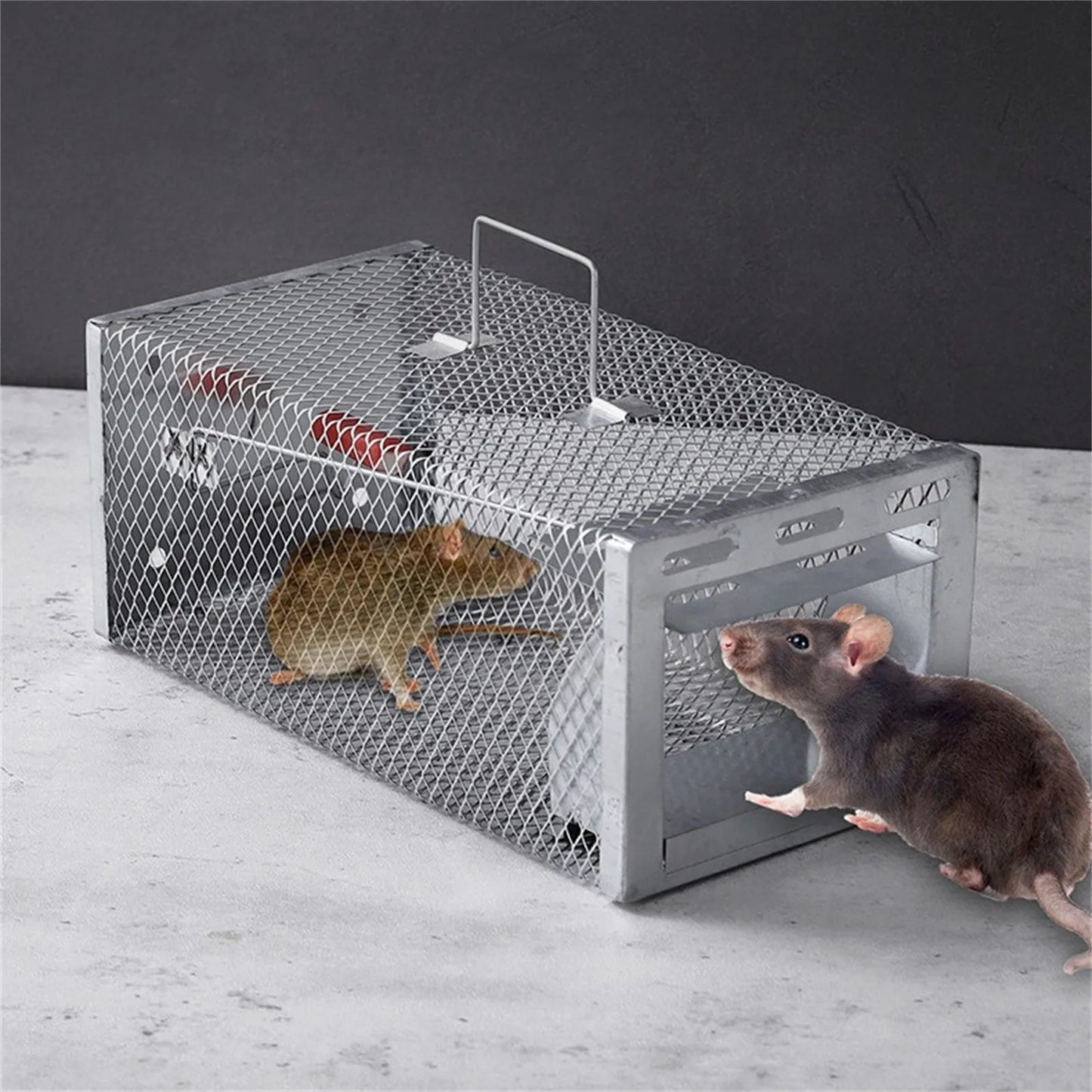 Humane Double-Door Live Mouse Trap | Reusable Iron Cage