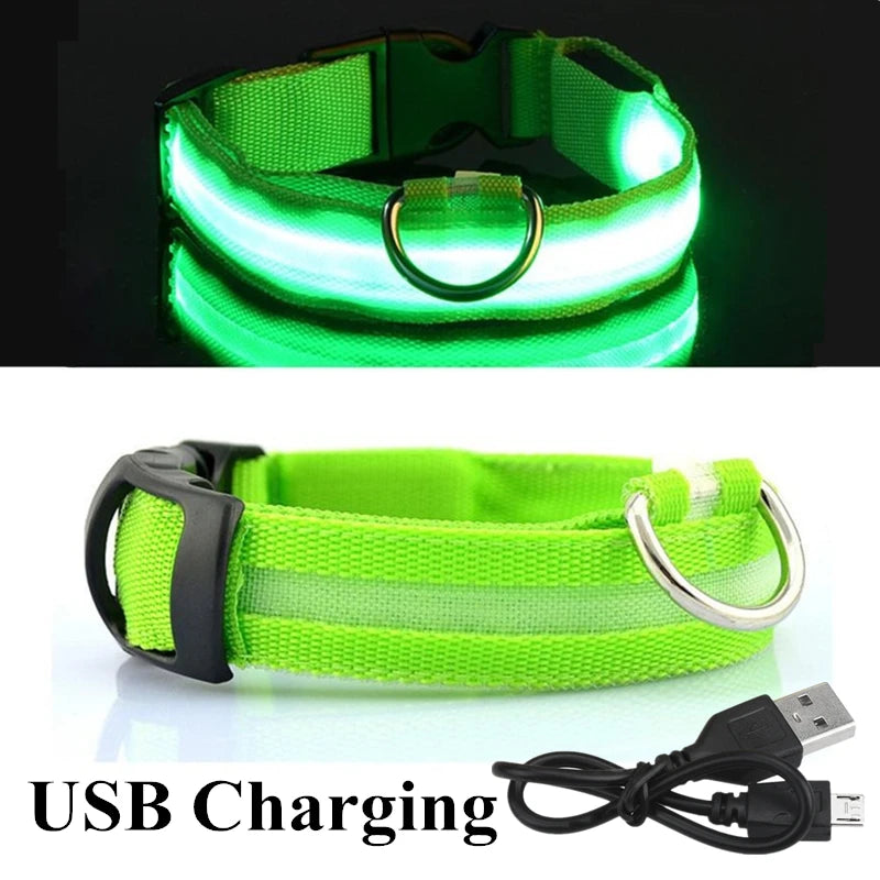 Colorful USB Rechargeable Pet Dog LED Glowing Collar Luminous Flashing Necklace Outdoor Walking Night Safety Supplies DC05 Peaceful Pleasures Health and Wellness