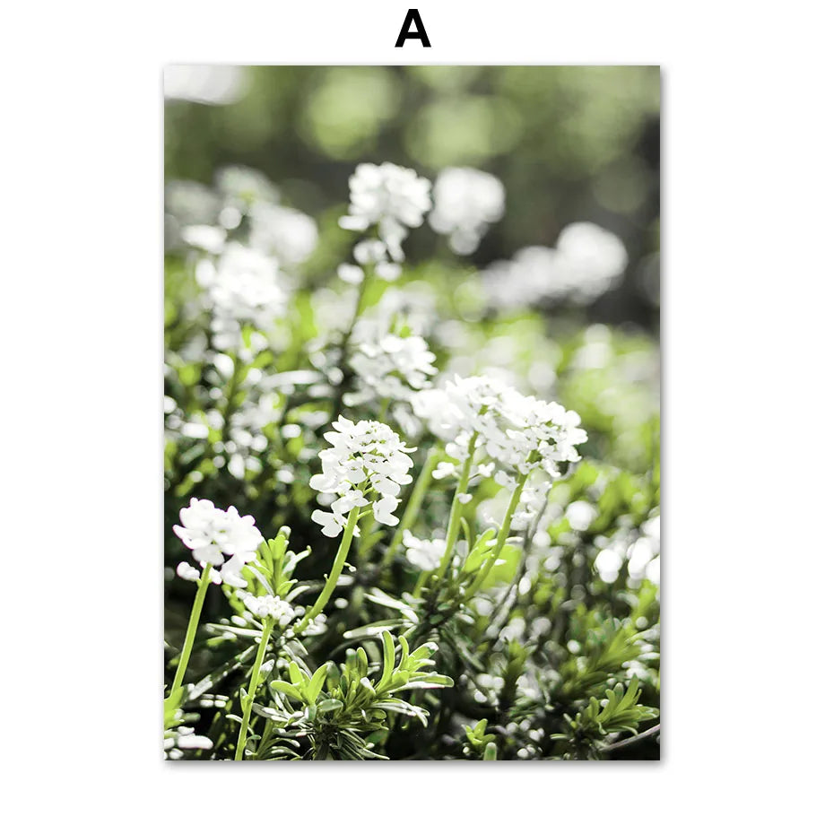 Mountain Waterfall Canvas Wall Art Poster | Nature Decor Print Canvas Wall Art Peaceful Pleasures Health and Wellness T80493-01 20x30cm Unframed