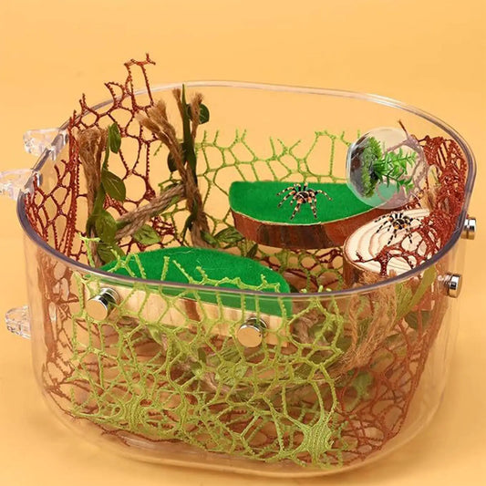 Jumping Spider Enclosure Accessories – Moss & Climbing Decor Set Terrarium Decor Set Peaceful Pleasures Health and Wellness China Mainland