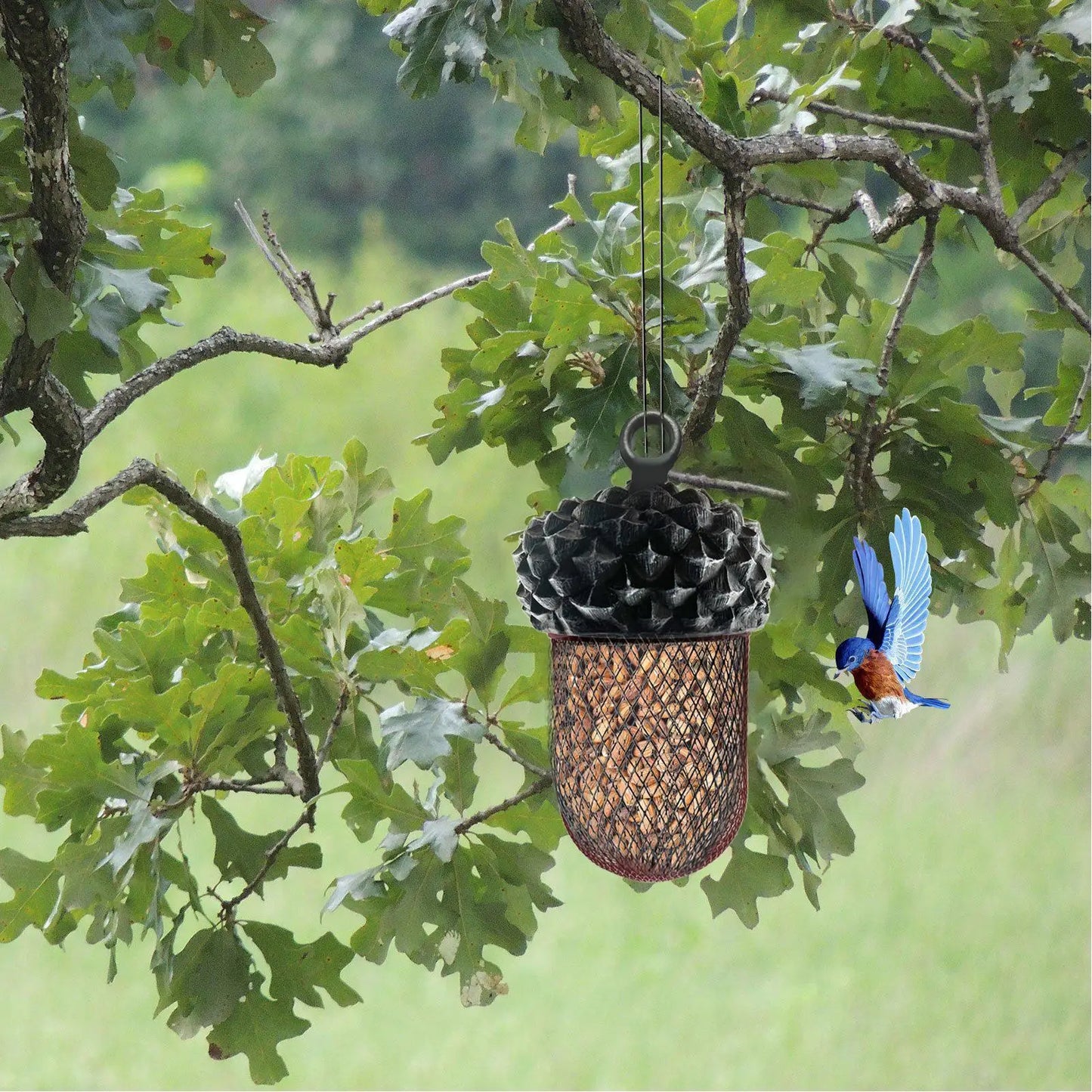 Acorn Bird Feeder – Decorative Resin Metal Garden Feeder Hanging Bird Feeder Peaceful Pleasures Health and Wellness