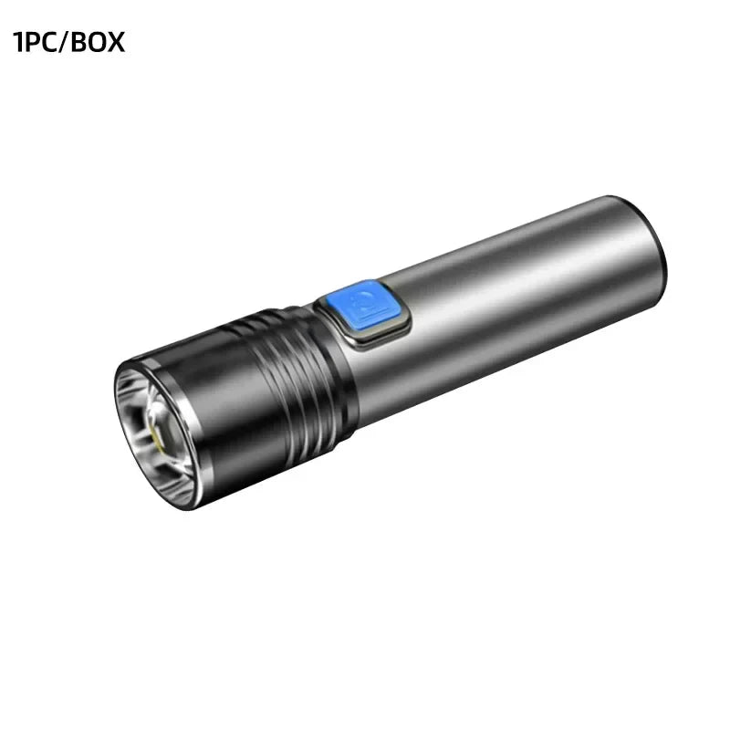 395nm UV Blacklight Flashlight | USB Rechargeable, Waterproof
