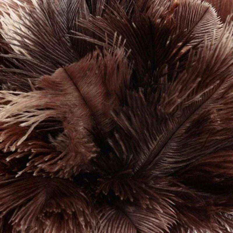Wooden Handle Ostrich Feather Duster Home Anti-static Dust Removal