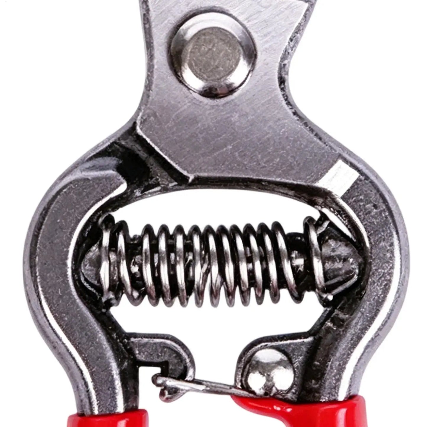 Stainless Steel Pruning Shears | Sharp Garden Hand Clippers