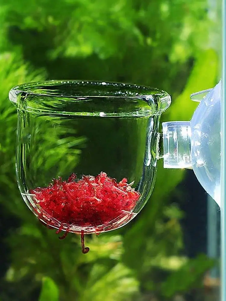 Acrylic Aquarium Plant Cup with Suction Cup Holder | Fish Tank