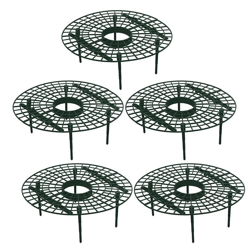 Strawberry Plant Supports – Elevated Fruit Stand | 4-Leg Design Peaceful Pleasures Health and Wellness