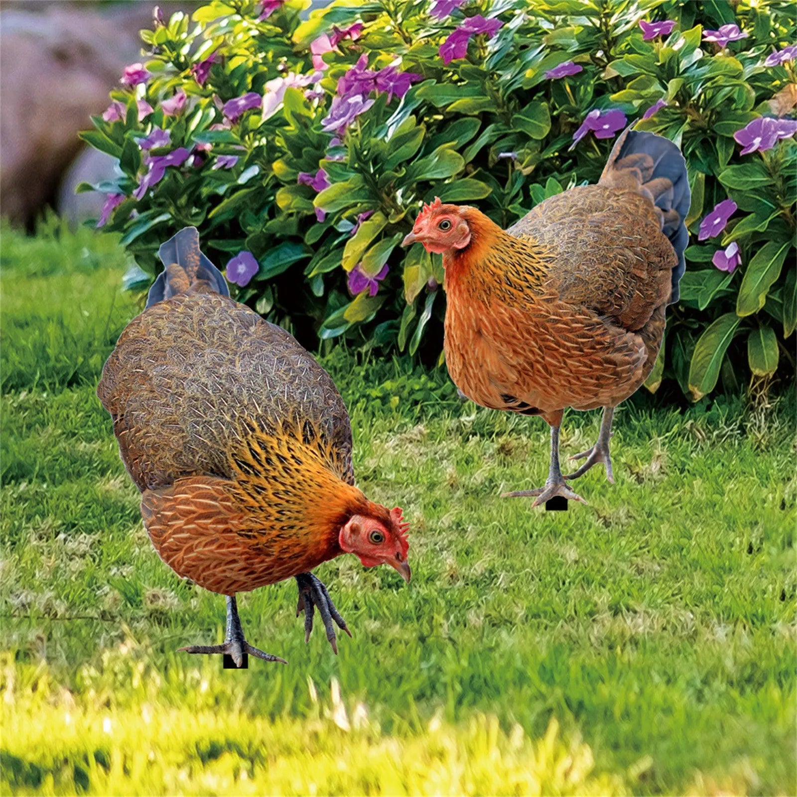 2D Flat Garden Statues Ornaments For Hen Chicken Decorations Sculptures Yard Art Outdoor Decorations Rooster Statue Art Deco Peaceful Pleasures Health and Wellness