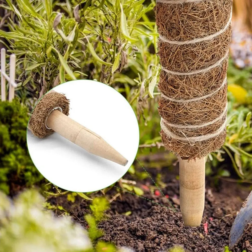 Stackable Coir Moss Pole 30/40/50cm | Plant Climbing Support
