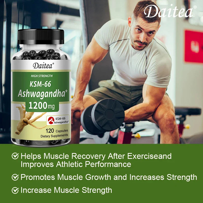 KSM-66 Ashwagandha 1200mg – Stress, Sleep & Mood Support