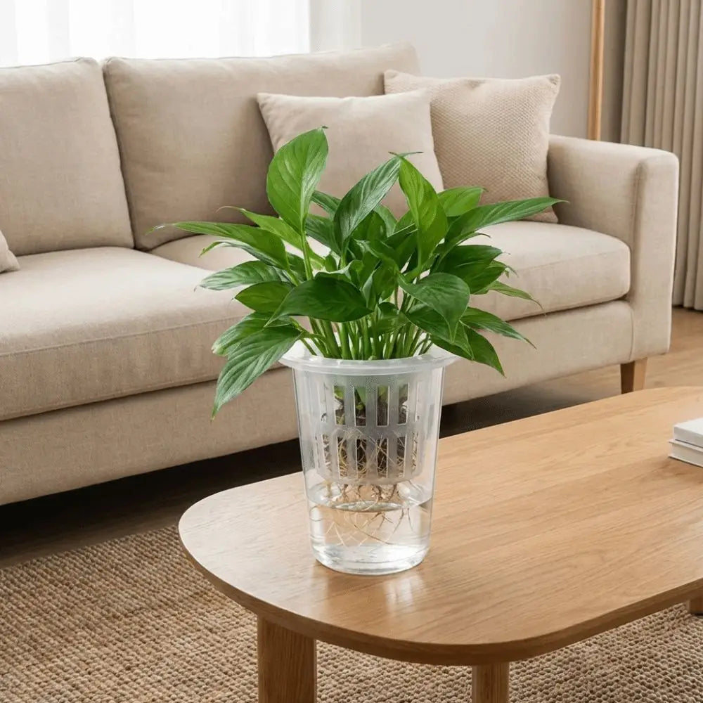 Transparent Hydroponic Mesh Cups – 5-Pack Nursery Net Pots