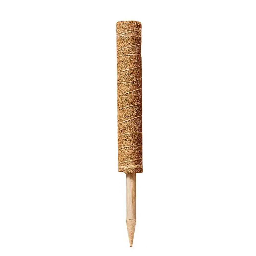 Stackable Coir Moss Pole 30/40/50cm | Plant Climbing Support