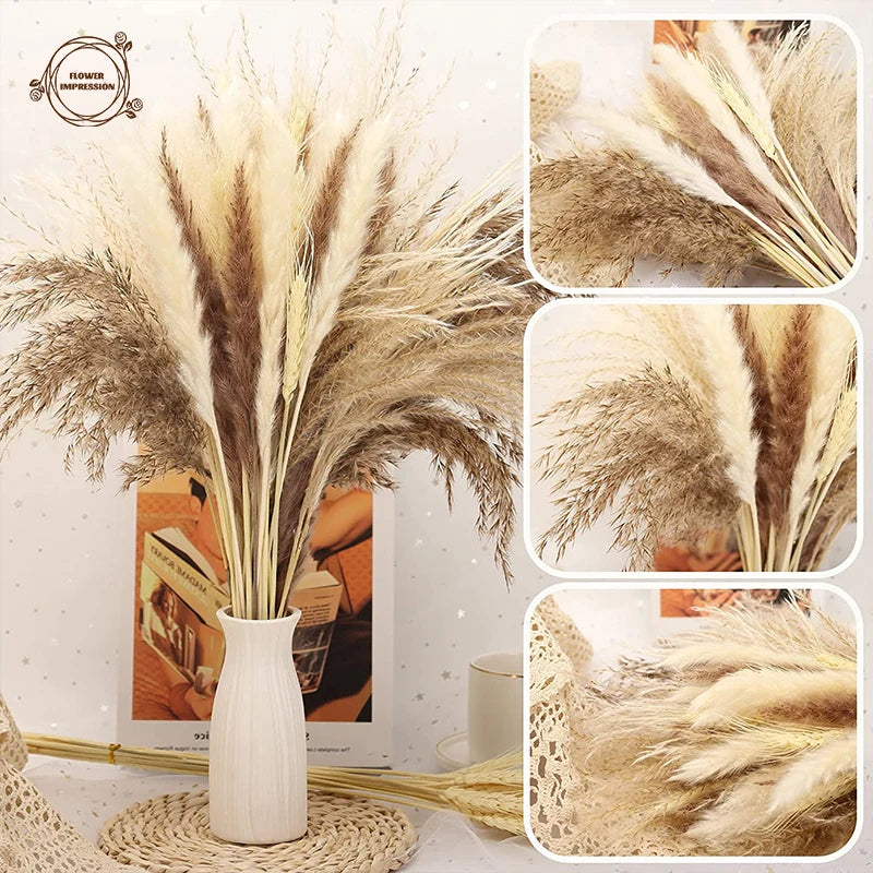 Natural Dried Pampas Grass Bunny Tails Bouquet | Boho Decor