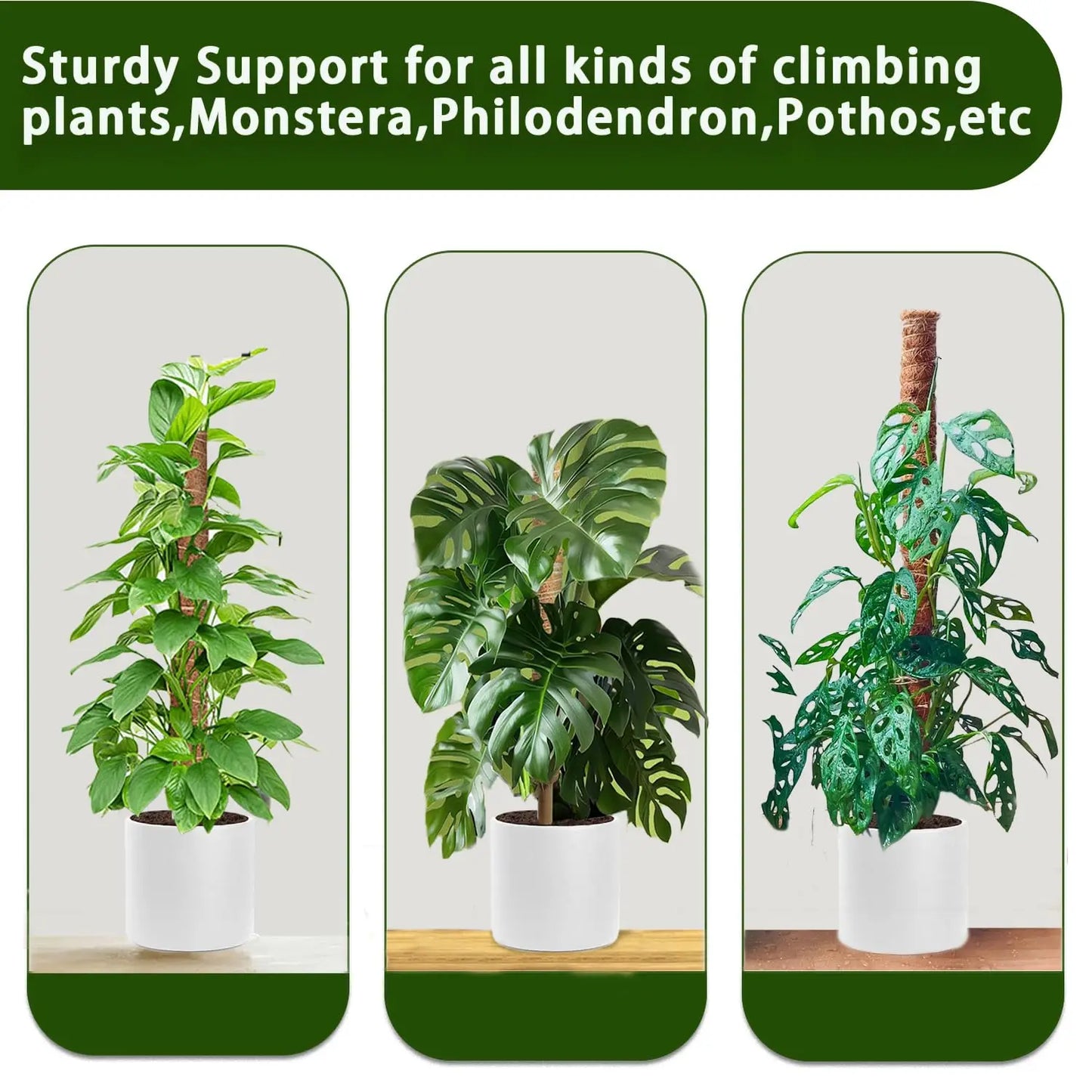 Stackable Moss Poles for Monstera & Climbing Plants (4/8 Pack)