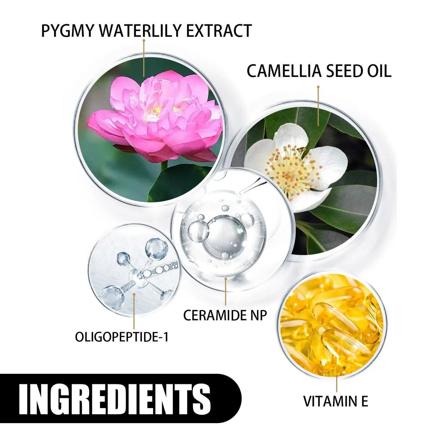 Skin Care Whipped Cream, Polypeptide Cream, Protein Face Moisturizer with Amino Acids Replenishing Moisturizer for Skin Protecti Peaceful Pleasures Health and Wellness