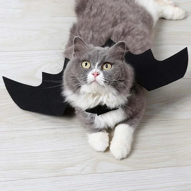 1PC Cute Pet Black Bat Wings Harness Costume Pet Cosplay Suit Cat Dog Halloween Party Pet Supplies Funny Dog Halloween Costume Peaceful Pleasures Health and Wellness