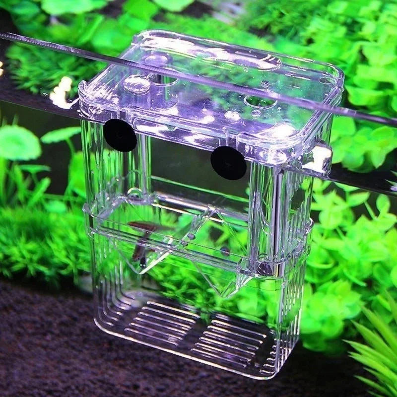 Multifunctional Fish Aquarium Clear Breeding Isolation Box Breeder