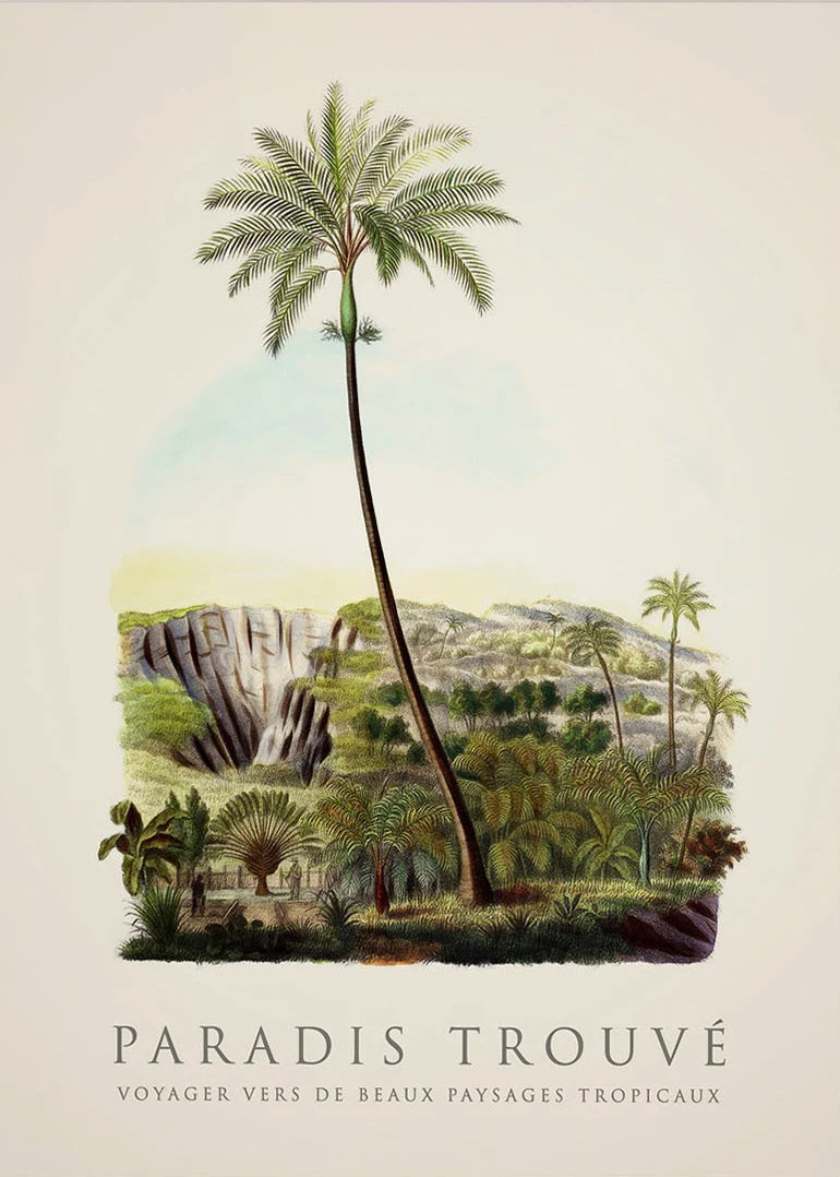 Tropical Palm & Banana Tree Vintage Botanical Canvas Wall Art Botanical Canvas Print Peaceful Pleasures Health and Wellness