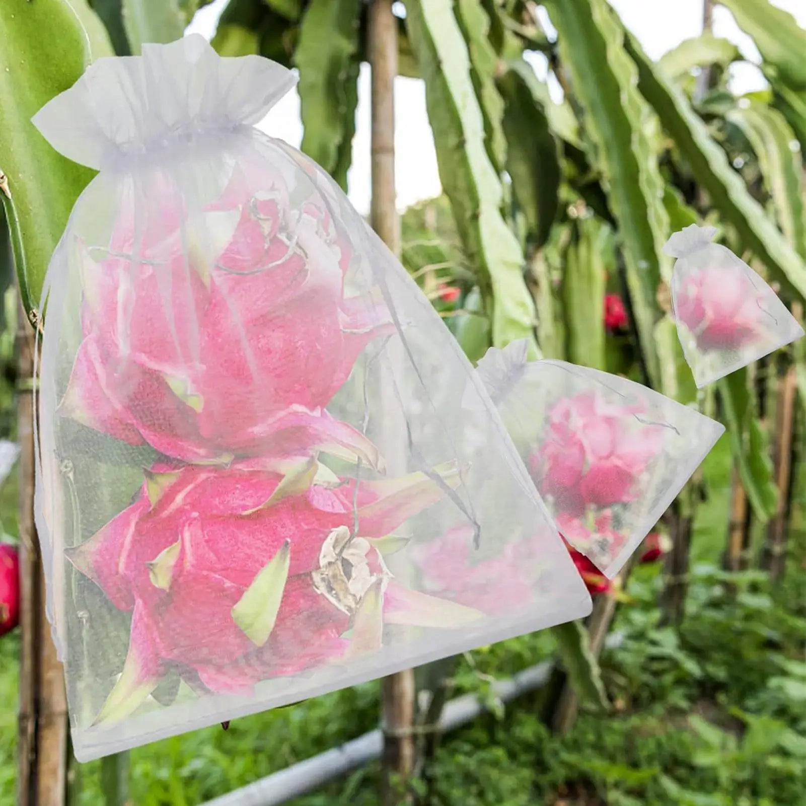 Fruit Net 100 Pieces Drawstring Breathable Reusable Fruit Trees Netting Bags For Grapes Tomato Strawberry Blueberry Vegetables Peaceful Pleasures Health and Wellness