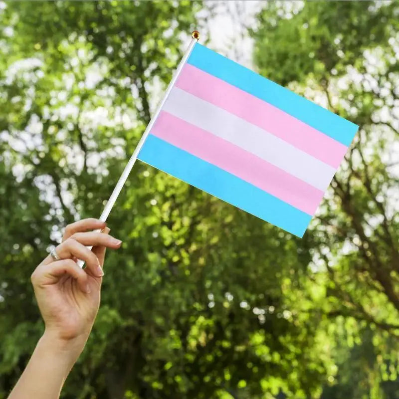 Mini Rainbow Hand Flags Sticks 14x21cm Pride Parade Celebration Party