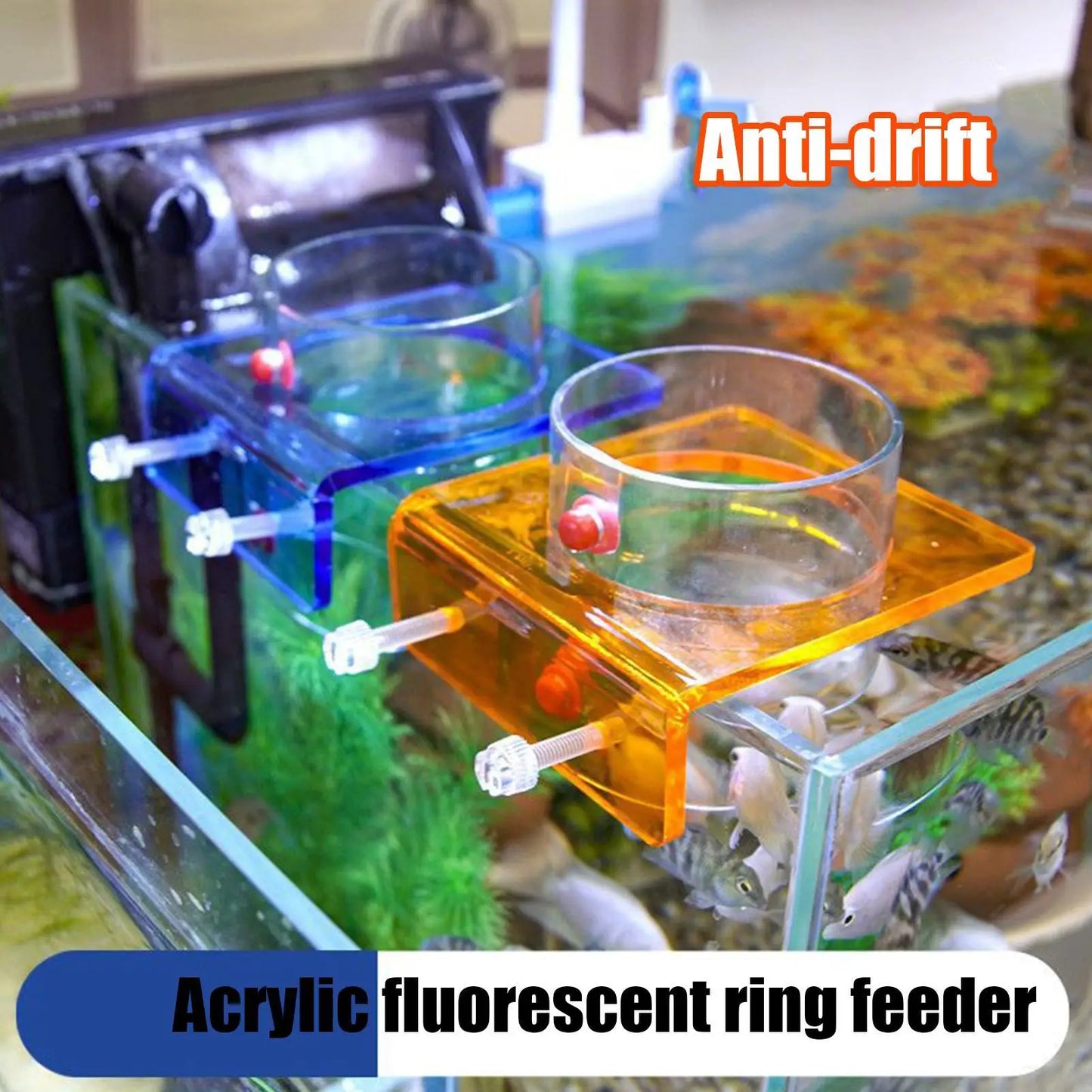 Acrylic Fish Feeding Ring with Suction Cup | Aquarium Feeder