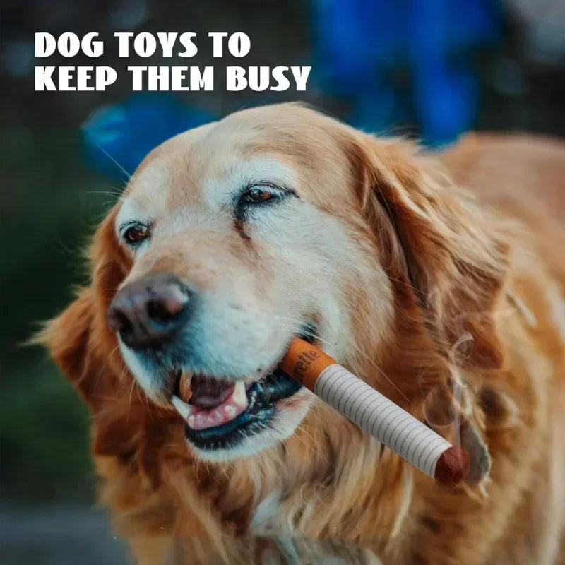 Squeaky Plush Dog Toy | Cigarette Box for Chewers & Puppies