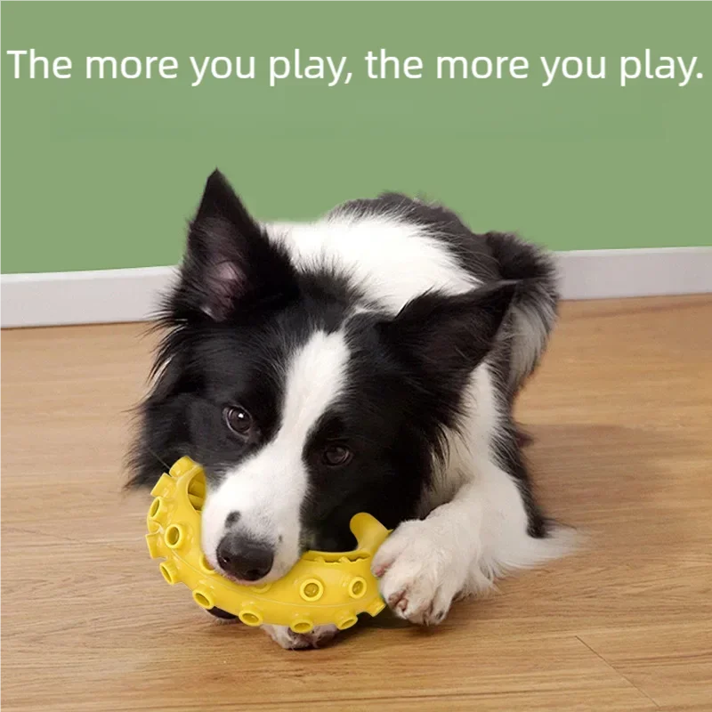 TPR Bite-Resistant Dog Chew Toy – Teeth Cleaning | Small & Medium Dogs