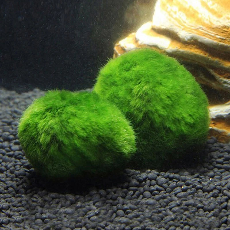 Artificial Marimo Moss Ball 3-4cm | Fish Tank Aquarium Decor
