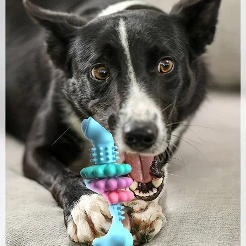 Indestructible Dog Chew Bone Toy | Durable TPR, Teeth Cleaning