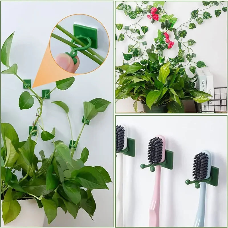 1/30/50Pcs For Garden Accsesories Plant Garden Pots & Planters Climbing Wall Outdoor Decors Lamp Support for Plants Clip Vine Peaceful Pleasures Health and Wellness