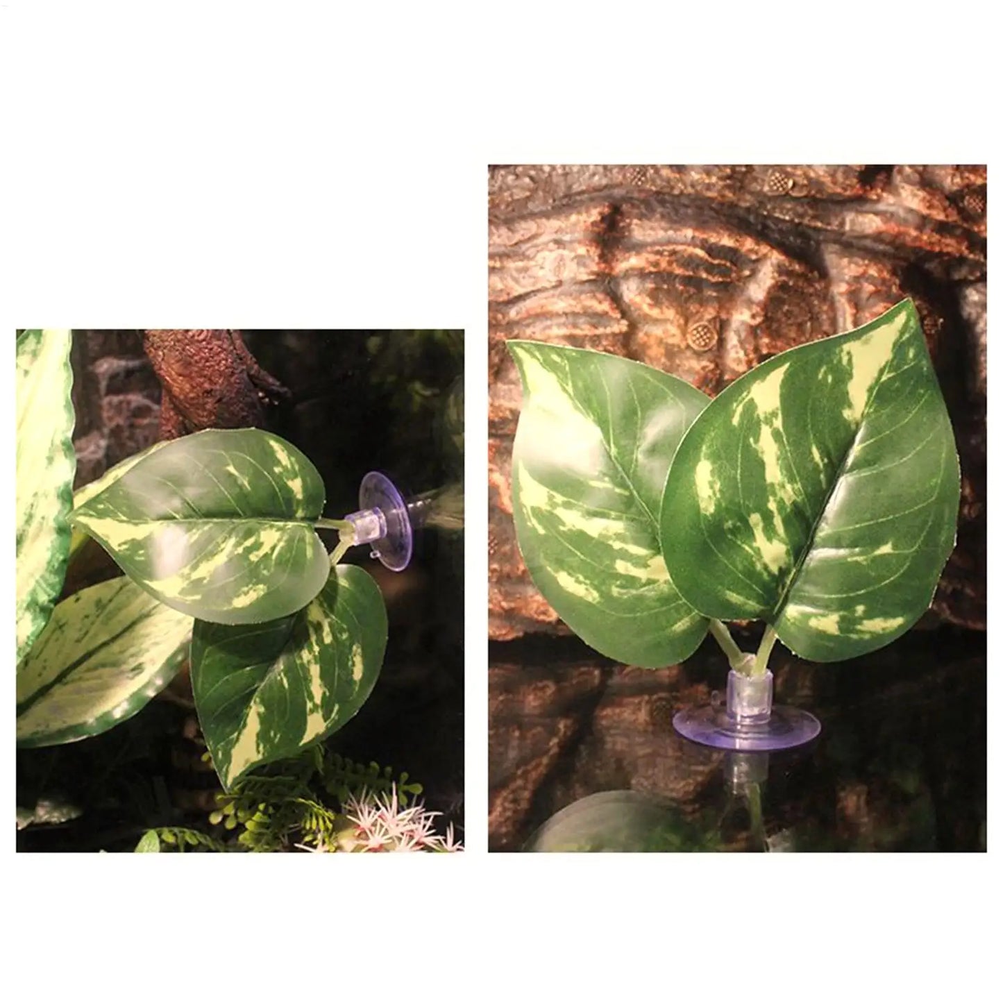 Betta Fish Leaf Hammock with Suction Cup | Aquarium Decor
