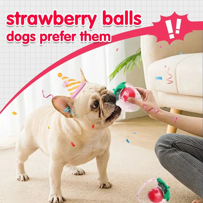 Squeaky Strawberry Dog Toy | Rubber Chew Toy for Small & Medium Dogs
