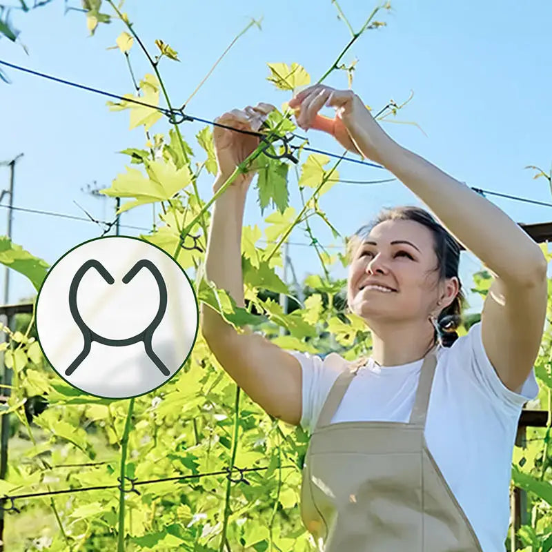 100/200Pcs Horticultural Clip Ring Butterfly Buckle Large Eight Character Plant Binding Tie Plant Support Climbing Plant Clip Peaceful Pleasures Health and Wellness